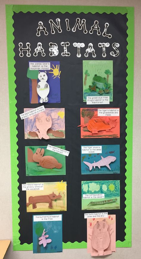 Animal Habitat Activities Eyfs, Animal Classroom Activities, Animal Habitats Kindergarten Crafts, Habitat Crafts For Kindergarten, Animal Habitats Kindergarten Projects, Animal Habitat Preschool Activities, Habitats For Preschool, 1st Grade Animal Habitat Project, Habitat Crafts Preschool