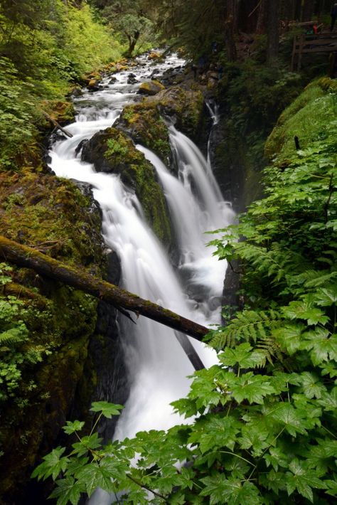 Sol Duc Campground, Sol Duc Falls Washington, Falls Park Sioux Falls, Sahalie Falls Oregon, Olympic National Park Hikes, Snoqualmie Falls Washington, Olympic National Park Washington, Olympic National Forest, National Parks Photography