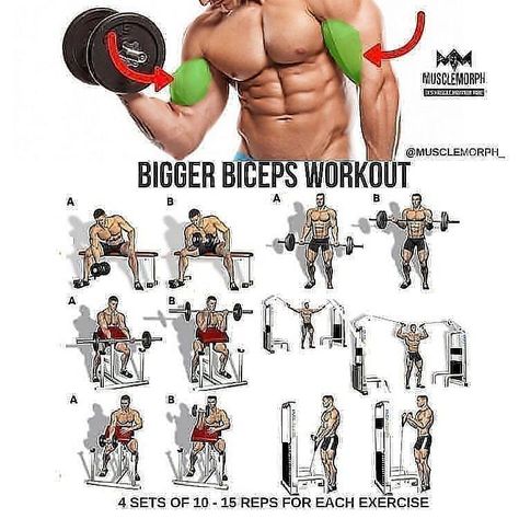 BIGGER BICEPS WORKOUT FOR YOURS🔥✔️✔️💯 For more content follow us 👉@fitnessimportance__ CREDIT:@musclemorph_ ➖➖➖➖➖➖➖➖➖➖… Big Biceps Workout, Biceps Training, Bigger Biceps, Gym Goals, Gym Antrenmanları, Big Biceps, Step Workout, Weight Training Workouts, Workout Chart