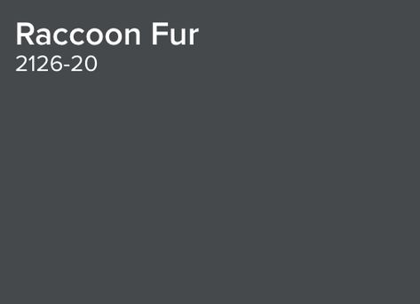 Benjamin Moore Racoon Fur Raccoon Fur Paint Benjamin Moore, Racoon Fur Benjamin Moore, Raccoon Fur Paint Color, Raccoon Color Palette, Benjamin Moore Bracken Slate, I Spy Diy, Moody Interiors, Condo Decorating, Living Room Update