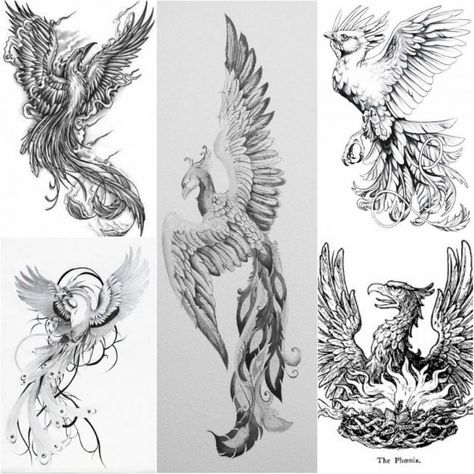 Phoenix Tattoo Sketch - Phoenix Tattoos - Phoenix Tattoo Ideas - Phoenix Tattoo Meaning Phoenix Tattoo Arm, Tato Phoenix, Japanese Phoenix Tattoo, Phoenix Tattoo Feminine, Small Phoenix Tattoos, Phoenix Bird Tattoos, Phoenix Artwork, Phoenix Tattoos, Tattoos Meaning