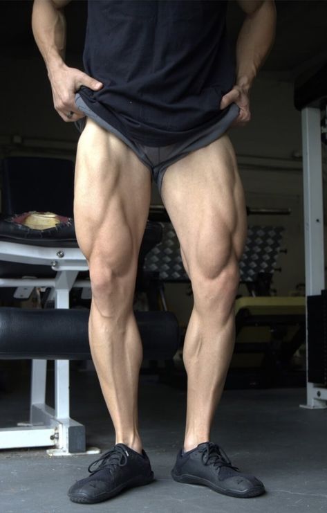 The 12 Best Quad-Focused Exercises for Bigger Quads | Legion Quads Anatomy, Muscle Legs Reference, Leg Muscles Reference, Quad Workout Men, Quads Aesthetic, Leg Exercises For Men, Legs Poses, Bigger Quads, Leg Aesthetic