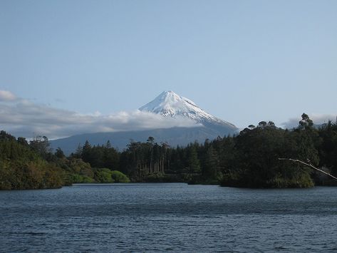 8 Wonderful Walks in New Plymouth - NZ Pocket Guide #1 New Zealand Travel Guide New Plymouth Nz, Surf Competition, New Zealand Travel Guide, New Plymouth, New Zealand Travel, Swimming Holes, West End, Virtual Tour, Mount Rainier