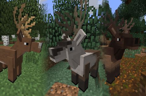 Minecraft Mob Ideas: Deer, Reindeer, and Elk Minecraft Horse Stables, Minecraft Horse, Minecraft Wolf, Minecraft Addons, Minecraft World, Dino Park, All Minecraft, Minecraft Mobs, Minecraft Plans