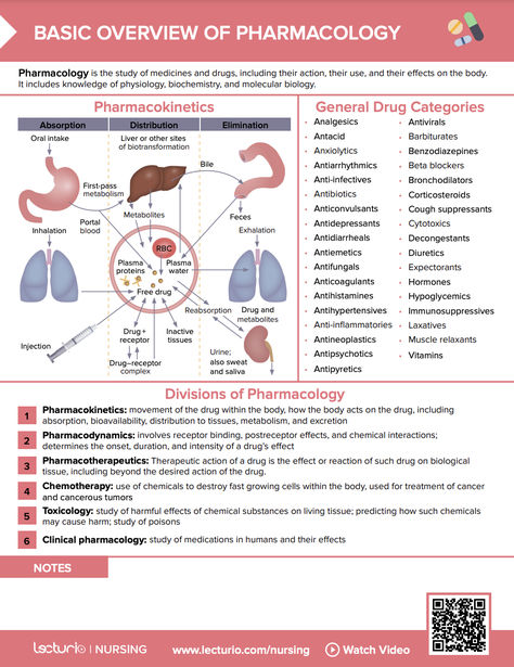 Quick intro to pharmacology in nursing, terminology, pharmacokinetics, and overview of general drug classes 📖✨ Basic Pharmacology Notes, Clinical Reasoning Nursing, Nursing Notes Pharmacology, Nursing Student Pharmacology, Intro To Pharmacology, Pharmacokinetics Pharmacology, How To Learn Pharmacology, Advanced Pharmacology Nurse Practitioner, Pharmacology Nursing Study Cheat Sheets