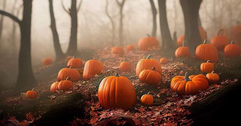 Fall Facebook Cover, Wallpaper Facebook, Magic Wood, Card Wallpaper, Forest Fall, Bare Trees, Autumn Wallpaper, Fb Cover Photos, Dark Magic