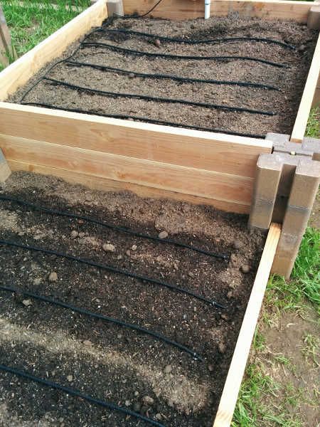 Raised Bed Irrigation, Raised Garden Beds Irrigation, Soaker Hose Irrigation, Garden Watering System, Soaker Hose, Home Vegetable Garden, Courtyard Garden, Garden Irrigation, Terrace Garden