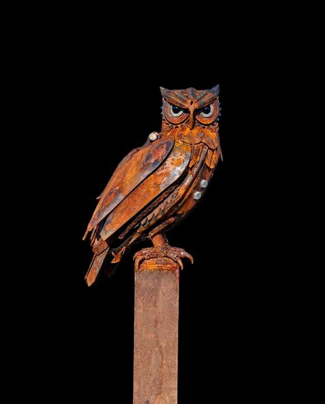 Metal Owl Sculpture, Welded Animals, Rusty Junk, Metal Animals, Metal Owl, Owl Sculpture, Recycled Metal Art, Sheet Metal Fabrication, Elephant Sculpture