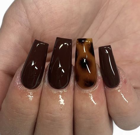 Tortoiseshell Nails, Tortoise Nails, Shell Nails, Shape Nails, Instagram Autumn, Coffin Shape, Coffin Shape Nails, Brown Nails, Autumn Nails