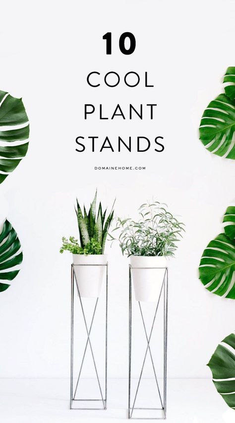 The best plant stands on the market! Indoor Interior Design, Pinterest Plant, Plants Stand, Trendy Plants, Apartment Plants, Plants Indoor, Plant Stands, Apartment Garden, Diy Interior