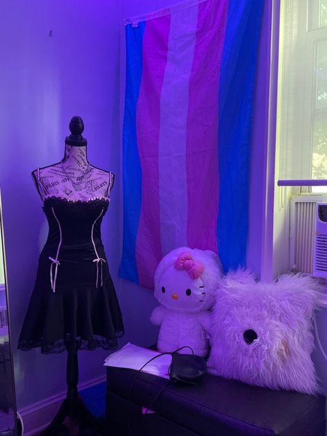 Room Ideas Alt, Pride Flag Aesthetic Room, Trans Bedroom, Pride Flag In Room Aesthetic, Pride Flag In Bedroom, Trans Flag On Wall, Cat With Trans Flag, Alt Room, Trans Pride Flag