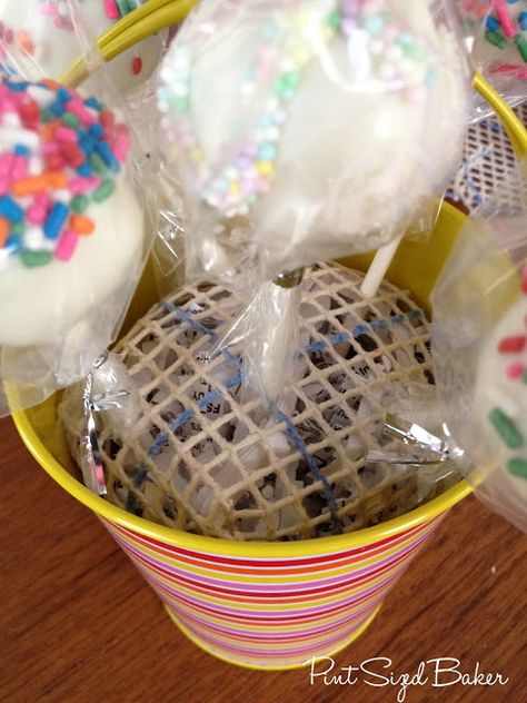 Cake Pop Gift, Christmas Cake Pops Recipe, Watermelon Cake Pops, Cake Pop Boxes, Perfect Cake Pops, Flower Cake Pops, Rose Cake Pops, Cake Pop Holder, Cake Pop Recipe Easy