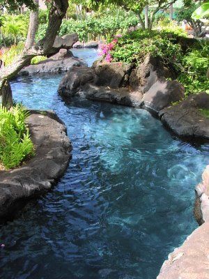 Campground Ideas, Awesome Pools, River Pool, Lazy River Pool, Backyard Pool Design, Fun Room, Small Pool Design, Lazy River, Natural Swimming Pools