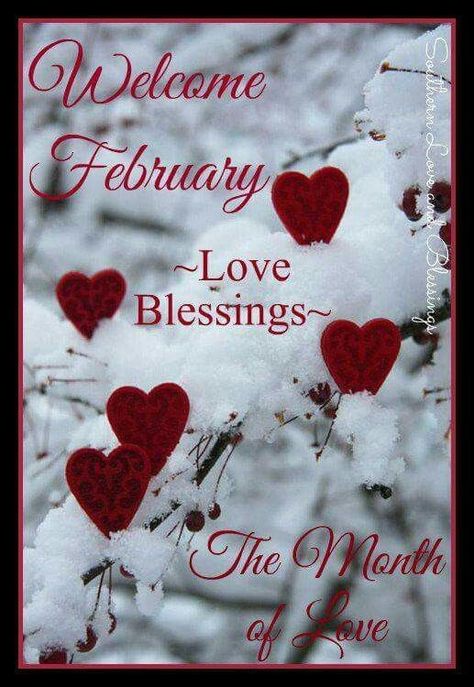 Month Of Love February, February Birthday Quotes, New Month Greetings, Hello February Quotes, February Images, New Month Wishes, Welcome February, February Quotes, Arthur Rubinstein