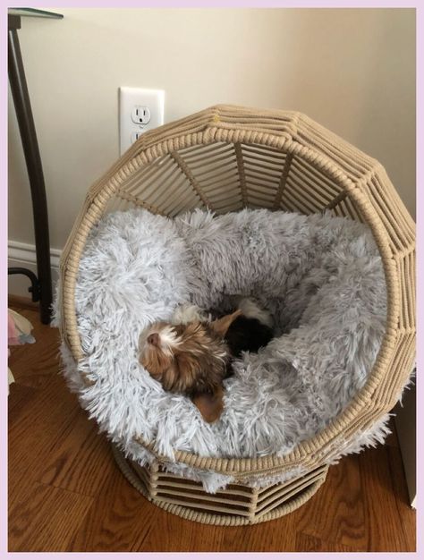 Cute Dog Bed Ideas, Pet Beds Aesthetic, Puppy Bed Aesthetic, Preppy Dog Bed, Cat Corner Ideas Bedroom, Pet Corner Ideas Cats, Puppy Bedroom Ideas, Puppy Bed Ideas, Puppy Girl Pfp