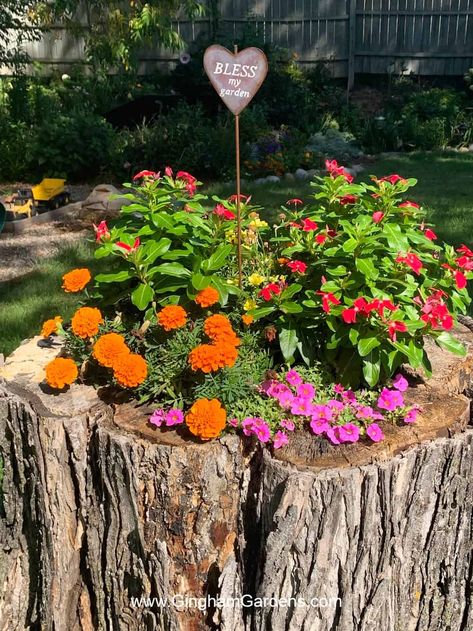 Are you looking for a unique, creative way to repurpose an old tree stump? With a little bit of imagination and a few simple supplies, you can turn a plain tree stump into a beautiful planter for growing flowers, herbs or succulents. With these easy step-by-step instructions and tons of creative ideas, you can make your own rustic tree stump planter and add a unique touch to any outdoor space. Tree Stump Ideas Outdoor, Tree Stump Garden, Stump Out, Stump Garden, Stump Decor, Tree Stump Decor, Creative Gardens, Gardening Printables, Stump Planter