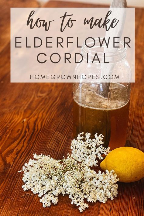 Elderflower cordial is a simple, fizzy, and refreshing drink that brings the taste of spring to your glass. It can be enjoyed in sparkling or soda water, or it’s the perfect sunny day cocktail. This elderflower cordial recipe is simple to make, and one of the best ways to use the tiny buds of elderflower trees! It is fermented and made with lemon and raw cane sugar and comes together so easily. Learn how to make this fizzy drink with this easy method. Elderberry Tree, Cordial Recipe, Gallon Mason Jars, Elderflower Cordial, Fermented Drink, Soda Water, Fizzy Drink, Easy Homemade Recipes, Homemade Recipe