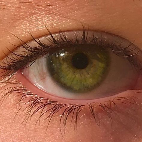 Olive Green Eyes, Jade Eyes, Hazel Green Eyes, Beautiful Eyes Color, Verde Jade, Pretty Bike, Aesthetic Eyes, Famous Girls, Cute Eyes