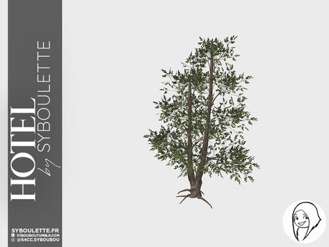 Sims4 Tree Cc, Tree Cc Sims 4, Trees Sims 4 Cc, Sims 4 Cc Trees And Plants, Sims 4 Cc Outdoor Plants, Sims 4 Outdoor Plants Cc, Sims 4 Trees, Sims 4 Trees Cc, Sims 4 Cc Garden