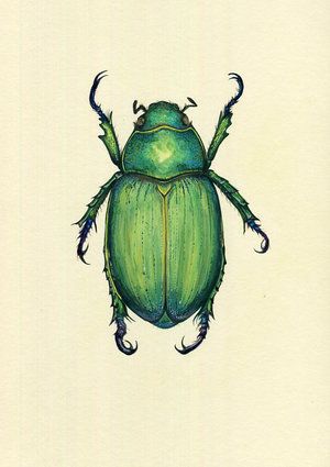 Bug Painting Ideas, Beetle Drawings, Izzy Tattoo, Beetle Artwork, Green Drawings, Beetle Watercolor, Crawling Animals, Insects Painting, Beetle Painting