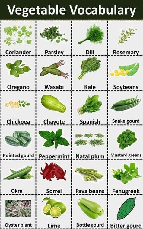 Vegetables Names With Pictures, Vegetables Name, Name Of Vegetables, Fruits And Vegetables List, Nightshade Vegetables, Animals Name In English, Chayote Squash, Learn Korean Alphabet, Ayurvedic Diet