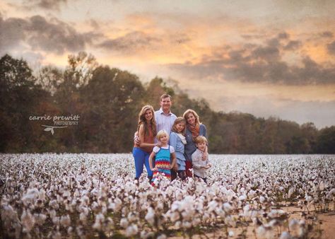 Family Photos Cotton Field, Cotton Field Family Pictures Outfits, Cotton Field Photography, Field Pics, Field Pictures, Fam Photos, Cotton Pictures, Field Photography, Passion Photography