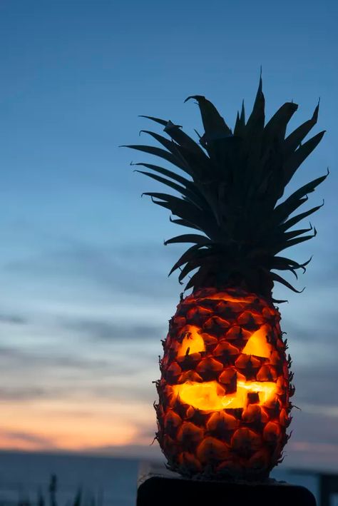 10 Things You Can Carve Instead of Pumpkins for Halloween Beachfront Decor, Traditional Pumpkin, Halloween Lanterns, Halloween Event, Halloween Season, Autumn Inspiration, Beach Themes, Beach Decor, Jack O Lantern