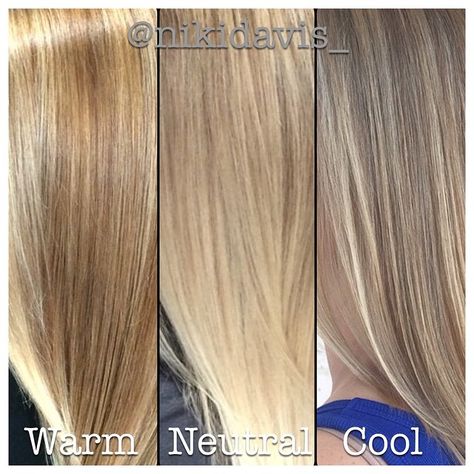 No blonde is one size fits all. This shows cool neutral and warm tones. Hair by @NIKIDAVIS_ AT FRANGIPANI HAIR STUDIO IN JACKSONVILLE BEACH, FL. Cool Blonde Vs Warm Blonde, Warm Blonde Vs Cool Blonde, Blonde Hair For Neutral Skin Tone, Cool Vs Warm Blonde, Warm Vs Cool Blonde, Neutral Blonde Hair, Solid Blonde, Toning Hair, Highlighted Blonde