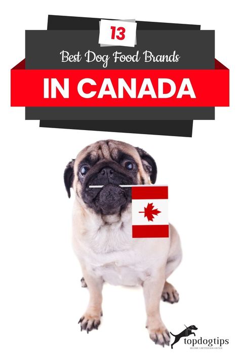 Food In Canada, Dangerous Foods For Dogs, Foods For Dogs, Best Dry Dog Food, Dehydrated Dog Food, Best Dog Food Brands, Make Dog Food, Canada Food, Dog Food Brands