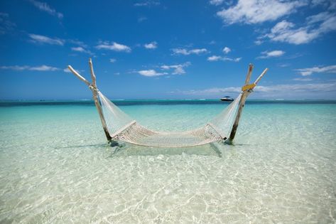 Empty over-water hammock in the middle o... | Premium Photo #Freepik #photo #tree #water #nature #blue Hammock Over Water, Tropical Lagoon, Water Hammock, Beach Hammock, Soft Chair, Water Nature, Sailing Trips, Glass Of Champagne, Newly Married Couple