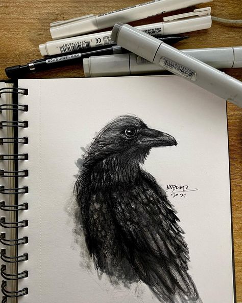 Raven drawing using cool grey markers and tech pens Raven Drawing, Markers Drawing, Marker Drawing, Marker Art, Grey Tones, Adult Coloring, Pen And Ink, Markers, Sketch Book