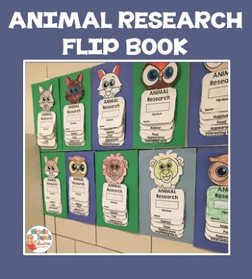 ANIMAL RESEARCH FLIP BOOK Animal Flip Book, School Library Lessons, Animal Report, First Grade Writing, Primary Teaching, Library Lessons, Animal Habitats, Creative Blog, First Grade Classroom