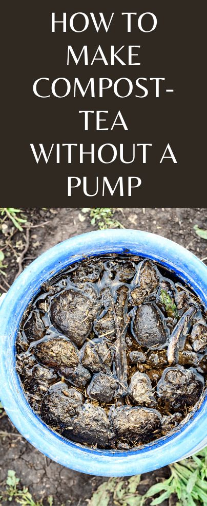 A fantastic and very simple way to feed your garden soil and plants is Compost-Tea. Have you heard about this special brew? Compost-tea can be used as a mild liquid fertilizer or plant booster, it also helps the plants deal with small pest issues. And, guess what? Compost tea has been used by farmers for a long time ago. The early Egyptians, Romans, and Greeks brewed it to fertilize their crops. Keep reading to know more about how to make compost tea without a pump. What Is Compost, Compost Tea Recipe, Compost Tea Brewer, Make Compost, Mushroom Compost, Compost Bin Diy, Diy Compost, How To Make Compost, Composting At Home