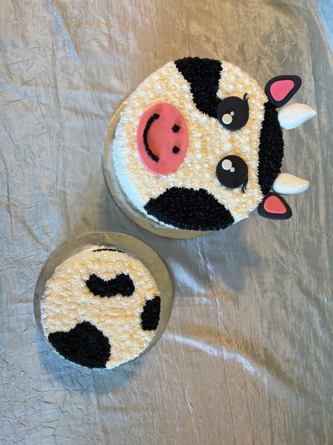 Cow Smash Cake, Sassy Cakes, Cow Cake, Cow Cakes, Smash Cake, Cake Smash, Cake Ideas, 1st Birthday, Sugar Cookie