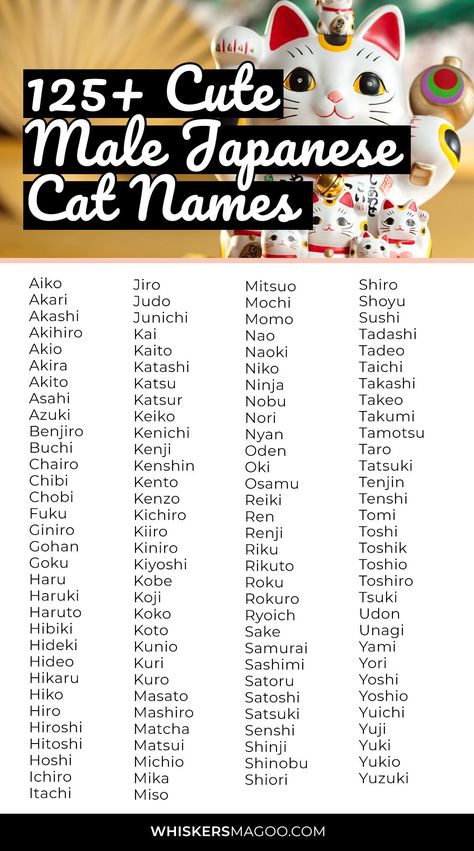 125+ Cute Male Japanese Cat Names (With Meanings) - Are you looking for a cute Japanese cat name for your male cat? Look no further! From Chibi to Mochi, Akito, Yoshi, and many more, check out over 125 cute male Japanese cat names with meanings right here! #catnames Japanese Ideas Name, Japanese Names For Pets, Cute Japanese Pet Names, Japanese Cute Name, Aesthetic Japanese Names With Meaning, Male Username Ideas, Japanese Names For Cats, Oc Names Ideas Japanese, Oc Name Ideas Male