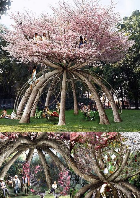 Amazing Cherry Blossom tree!                                                                                                                                                                                 More Famous Trees, Landscaping Around Trees, Garden Tags, Tree House Designs, Japanese Garden Design, Cherry Trees, Deco Nature, Unique Trees, Backyard Garden Design