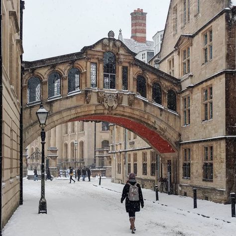 Oxford Vibes, Oxford Aesthetic, Future Environment, Oxford Student, Oxford College, Oxford City, Oxford England, New College, Dream School