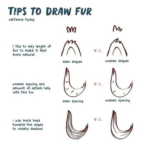 How to draw simple cartoony fur ✨ Full process and tutorial explained in my blog at carliannecreates.com My process for drawing fur and hair is actually very similar, it’s all about laying down a dark color first and then going lighter. I also do this process with bushes and trees! How To Draw Fur With Colored Pencils, Hair Laying Down Drawing, Fur Drawing Tutorial, How To Draw Fluffy Hair, Drawing Fur, How To Draw Fur, Colored Pencil Art Projects, Hair Laid, Fluffy Hair