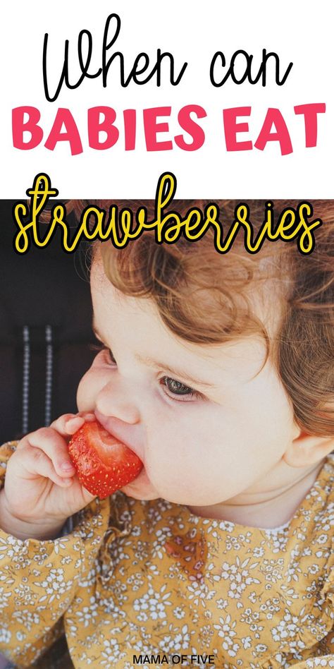 Strawberry Benefits, 7 Month Baby, 7 Month Old Baby, 4 Month Old Baby, Making Baby Food, Cut Strawberries, Baby Fruit, Baby Foods, Strawberry Baby