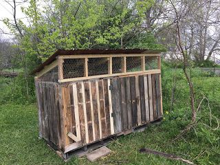 Quack shack; Duck coop; duck house; chicken coop; recycled pallet; pallet wood Duck House Out Of Pallets, Duck House From Pallets, Pallet Duck Coop, Pallet Duck House, Duck House Diy, Quack Shack, Wood Duck House, Pallet Coop, Duck House Plans