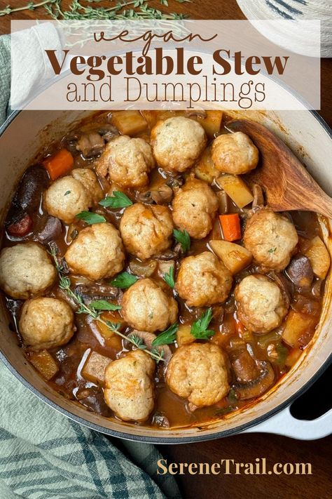 Vegan Stew And Dumplings Cozy Recipes Vegetarian, Cozy Dinner Recipes Vegetarian, Vegetarian Stew And Dumplings, Vegan Stew And Dumplings, Vegetable Soup With Dumplings, Vegan Dumpling Stew, Plant Based Winter Recipes, Crohns Friendly Recipes Dinner, Vegetarian Chicken And Dumplings