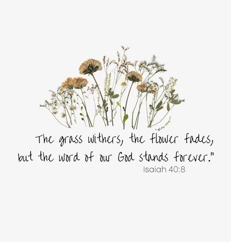 Bible verse, the grass withers Grass Withers And Flowers Fade, The Grass Withers And The Flowers Fade, Faded Tattoo, Give Me Jesus, Christian Bible Quotes, Inspirational Scripture, Flower Quotes, Christian Bible, The Grass