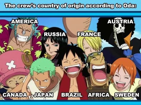 One Piece One Piece Members, Anime Facts, Anime Dubbed, Anime Dvd, The Pirate King, One Piece Funny, One Piece Pictures, Straw Hats, Crew Members