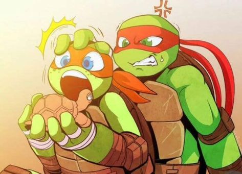 look at them 😅 Raphael X Mikey, Tmnt Ships, Tmnt Au, Baby Ninja Turtle, Ninja Turtle Drawing, Tmnt Girls, Tmnt Mikey, Raphael Tmnt, Teenage Turtles