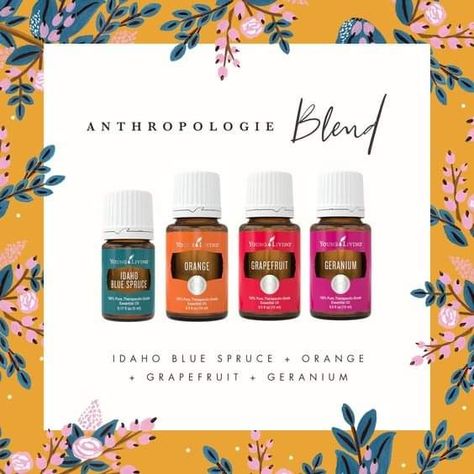 Orange Essential Oil Blends, Northern Lights Black Spruce, Perfume Versace, Anthropologie Candle, Black Spruce, Essential Oil Diffuser Blends Recipes, Young Living Essential Oils Recipes, Yl Oils, Essential Oils For Sleep