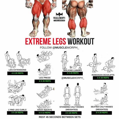 Leg Workouts For Men, Lower Body Workouts, Leg Workouts Gym, Best Leg Workout, Gym Antrenmanları, Gym Workouts For Men, Step Workout, Leg Day Workouts, Planet Fitness