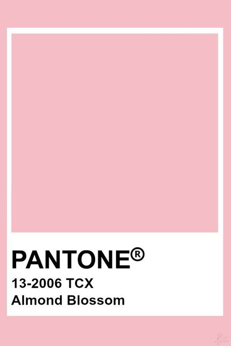 Almond Blossom Color Palette, Pantone Pastel Pink, Pink Pantone Palette, Pantone Pink Shades, Pink Pantone, Pink Colour Palette, Pantone Tcx, Pantone Color Chart, Pantone Swatches