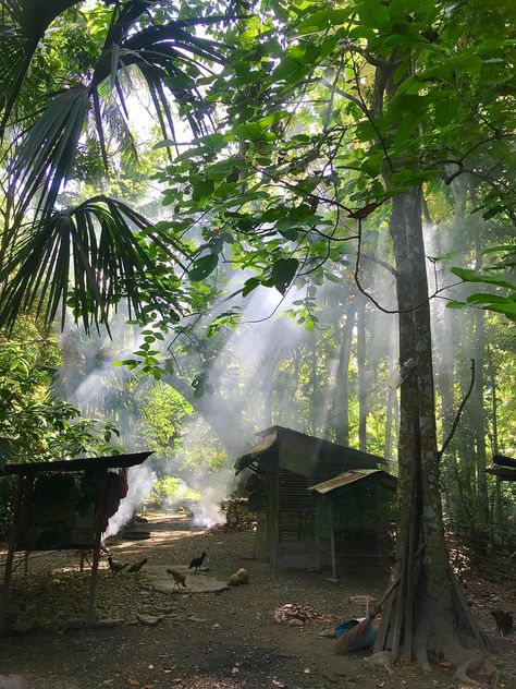 Province Life, Bung Karno, Anime House, Artsy Photography, Rice Field, Backyard Farming, Beautiful Locations Nature, Beautiful Places Nature, Cinematic Photography