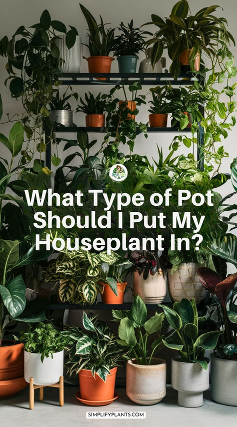 "Houseplant potting, indoor plant containers, decorative plant pots, ceramic 
planters, terracotta pots, self-watering pots, hanging planters, succulent 
pots, plant pot drainage, repotting plants" Plants Care, What Type, Pest Control, Plant Care, Gardening Tips, Indoor Plants, House Plants, The Beauty, Soil