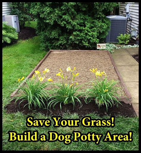 Coin mitaine Backyard Dog Area, Dog Potty Area, Lou Dog, Dog Yard, Dog Potty, Dog Area, Earthship, Dogs Pooping, Diy Dog